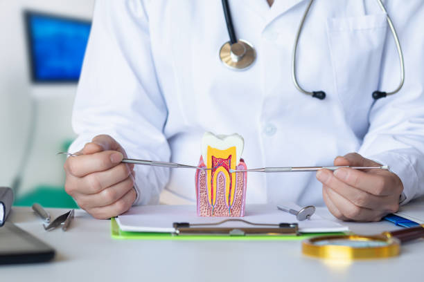 Best Emergency Treatment for Toothache in Stevens Point, WI